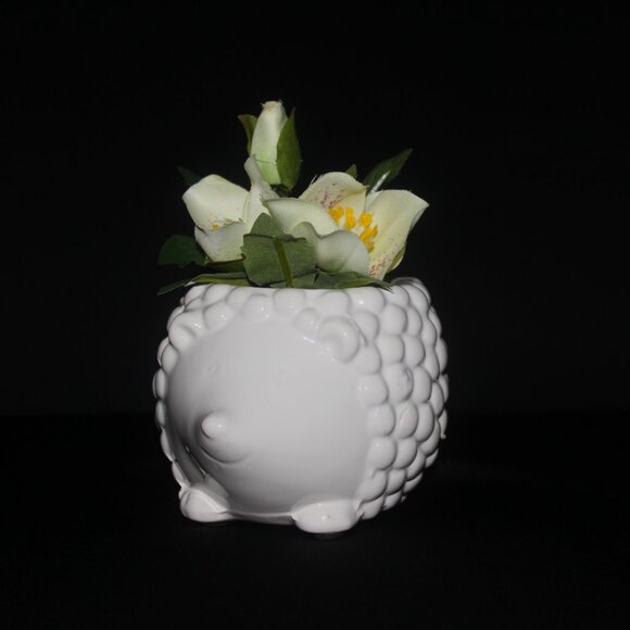 Hedgehog Plant Pot | Animal Flower Pot | Indoor Planter - Picture 2 of 8
